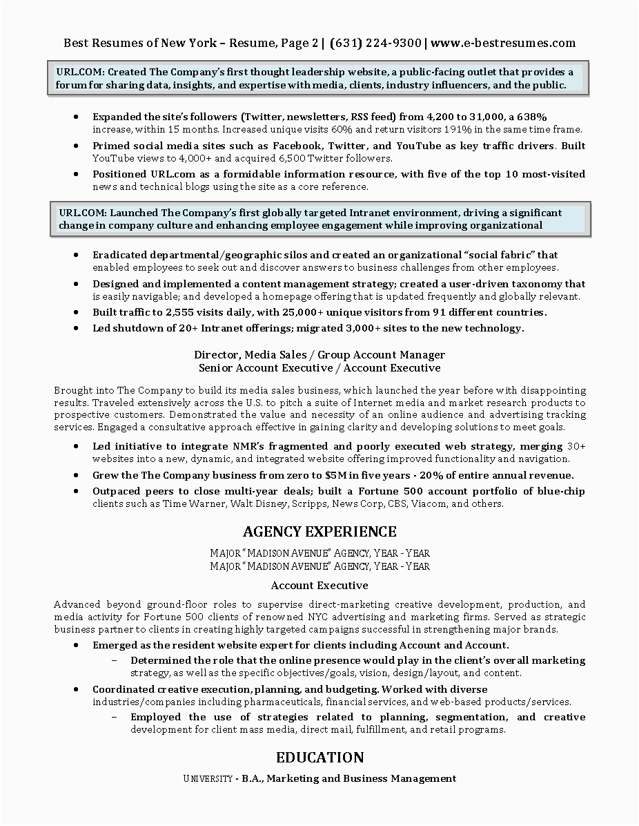 Sample Resume for Marketing Executive Position Digital Marketing Executive Resume Sample