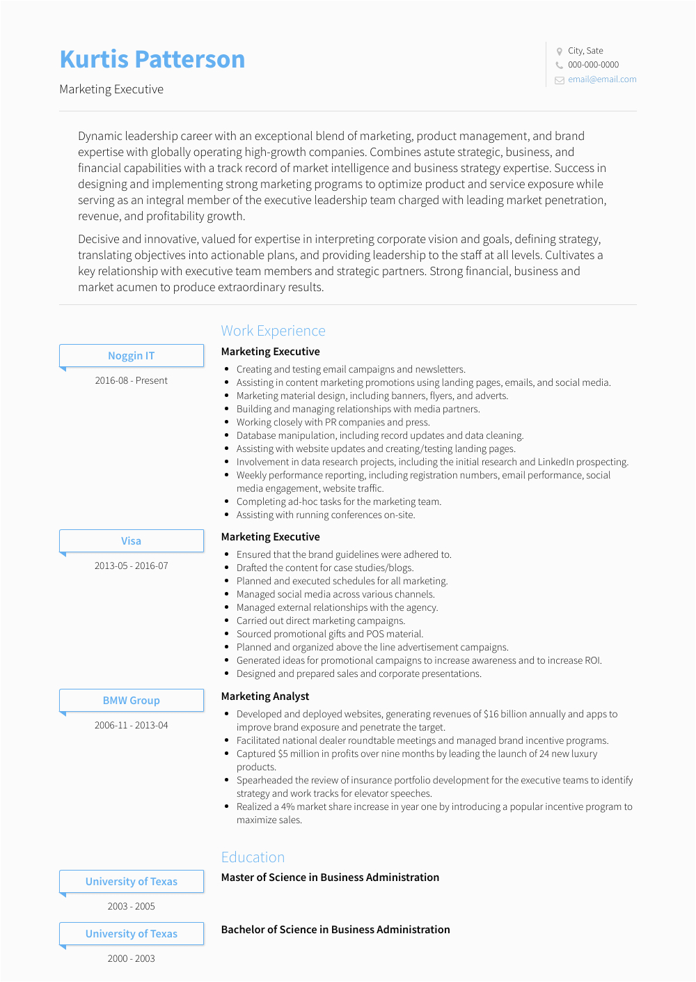 Sample Resume for Marketing Executive Position Marketing Executive Resume Samples and Templates
