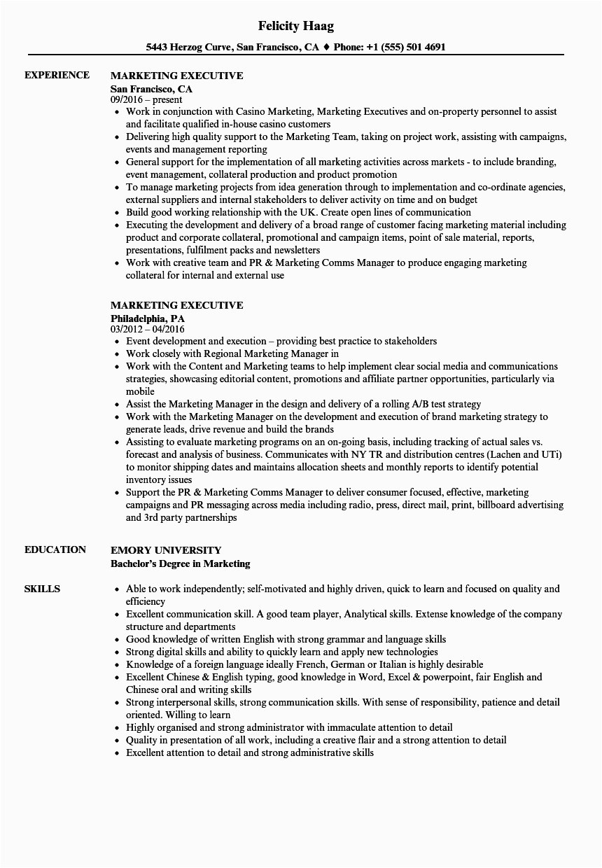 Sample Resume for Marketing Executive Position Marketing Executive Resume Samples