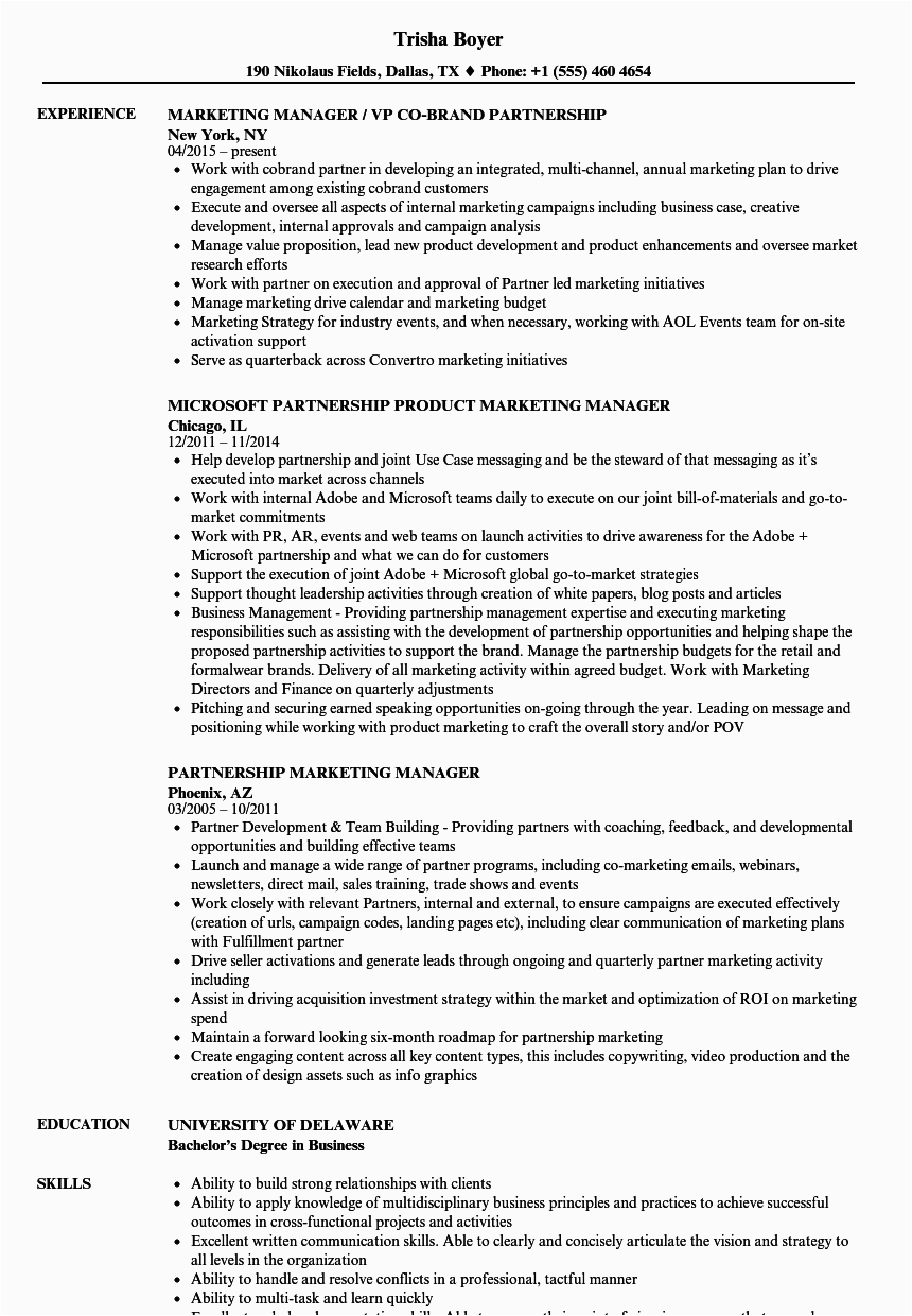 Sample Resume for Marketing Executive Position Partnership Marketing Manager Resume Samples