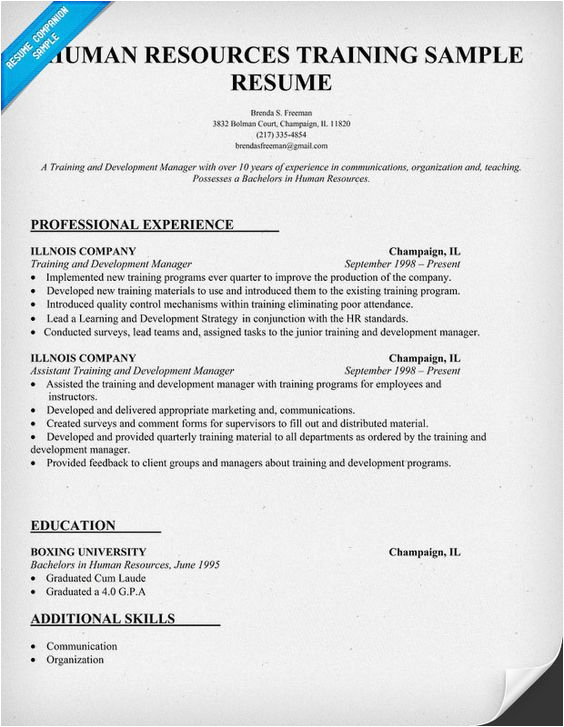 Hr Training and Development Resume Sample Human Resources Resume and Resume Examples On Pinterest