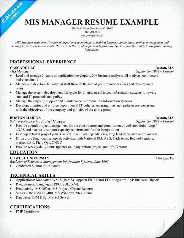 Mis Executive Resume Sample In India Mis Sample Resume