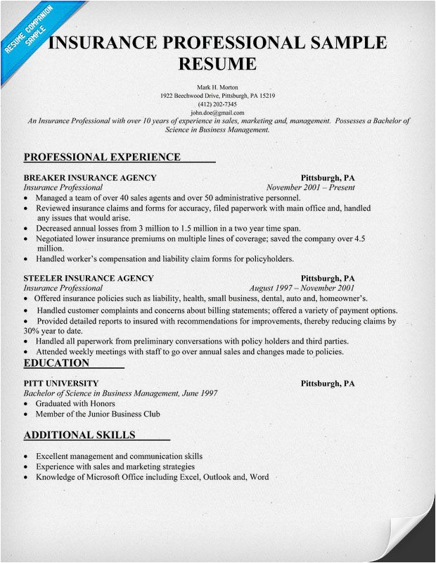 Sample Resume for Experienced Insurance Professional Insurance Professional Resume Sample Resume Panion