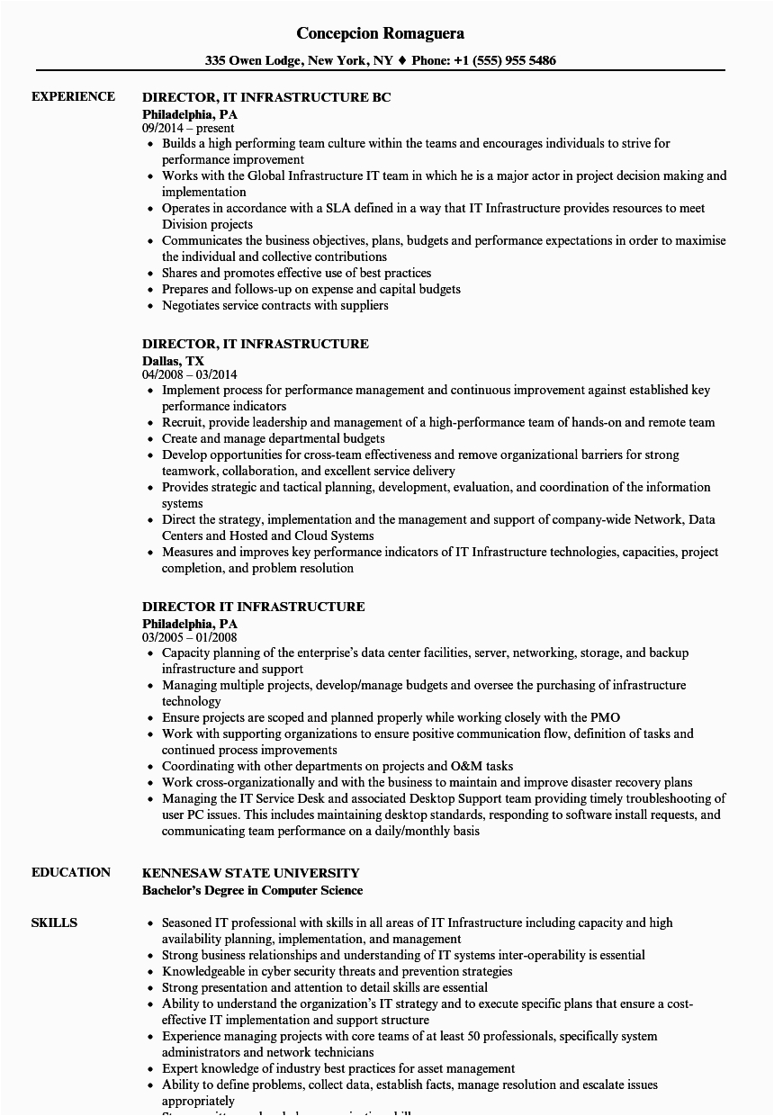 Sample Resume for It Director Position Director It Infrastructure Resume Samples