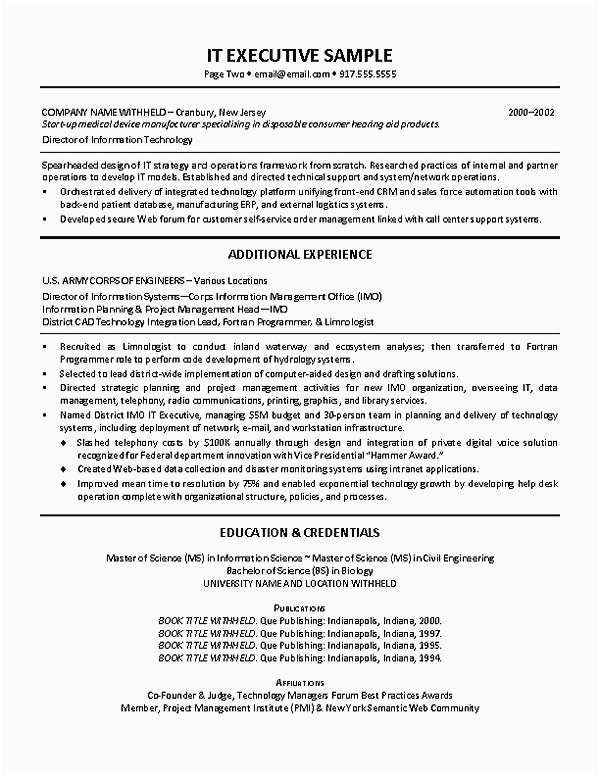 Sample Resume for It Director Position It Director Resume Example