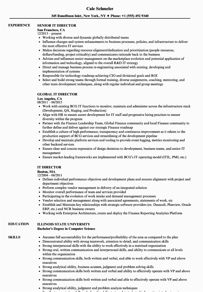 Sample Resume for It Director Position It Director Resume Samples
