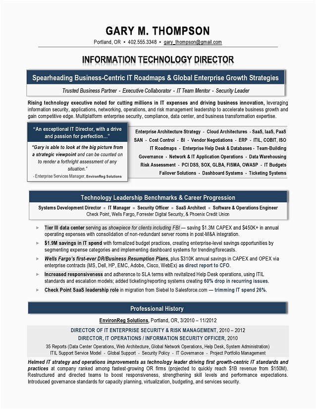 Sample Resume for It Director Position It Director Sample Resume It Resume Writer Technical
