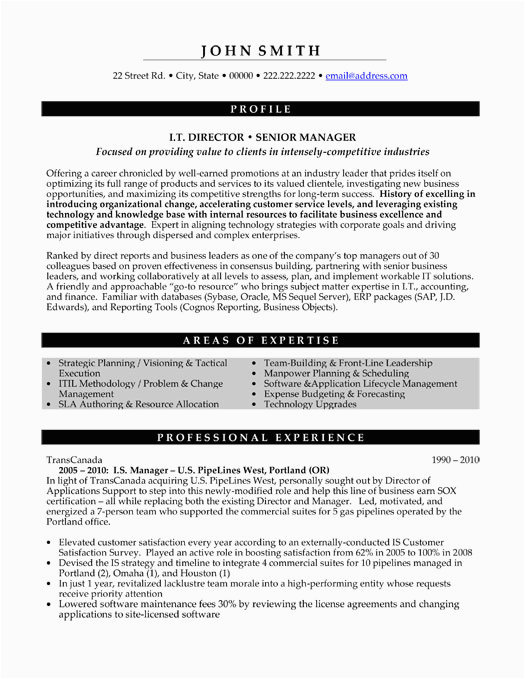 Sample Resume for It Director Position top Information Technology Resume Templates & Samples