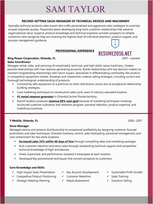 Sample Resume for Sales Manager Position Sales Manager Resume Example