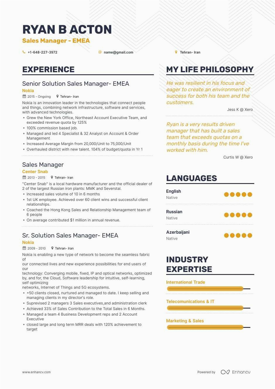 Sample Resume for Sales Manager Position Sales Manager Resume Samples and 10 Examples