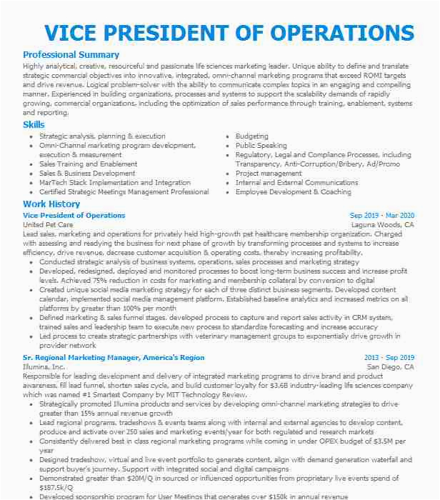 Sample Resume for Vice President Of Operations Vice President event Operations Resume Example Palace