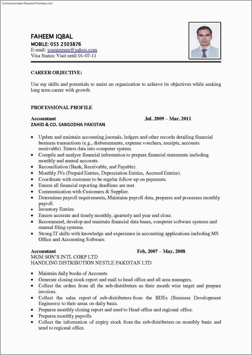 Best Template to Use for Resume Best Resume Template to Use