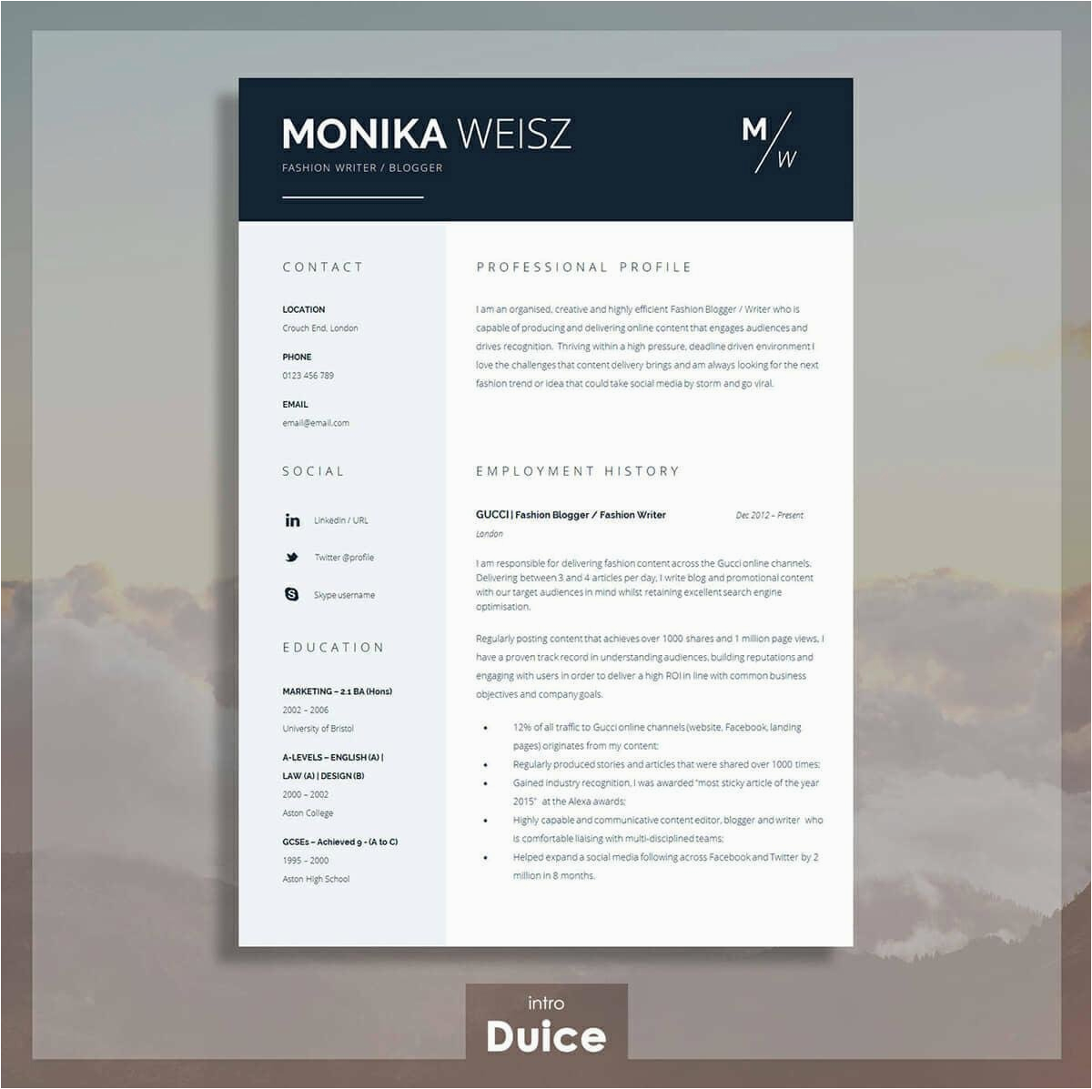 Best Template to Use for Resume Best Resume Templates 15 Examples to Download & Use Right