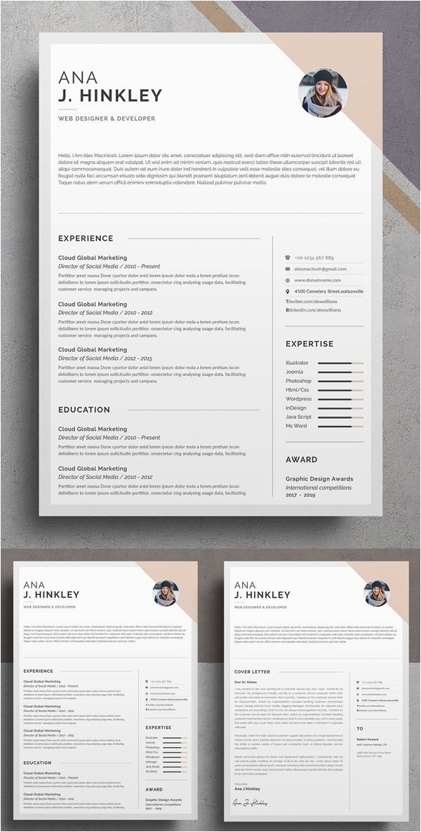 Best Template to Use for Resume Professional Impressive Resume Cv Templates
