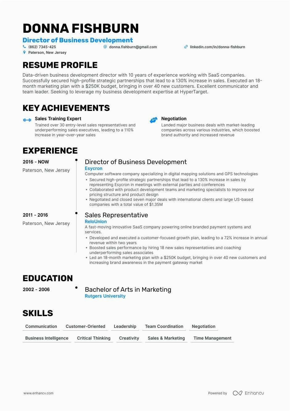 Director Of Business Development Resume Templates Director Of Business Development Resume Examples & Guide
