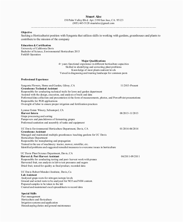 Free Resume Templates for Entry Level Jobs Free 9 Sample Entry Level Resume Templates In Ms Word