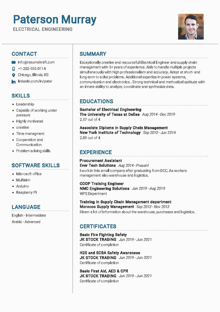 Free Resume Templates for It Professionals 100 Professional Resume Samples for 2020