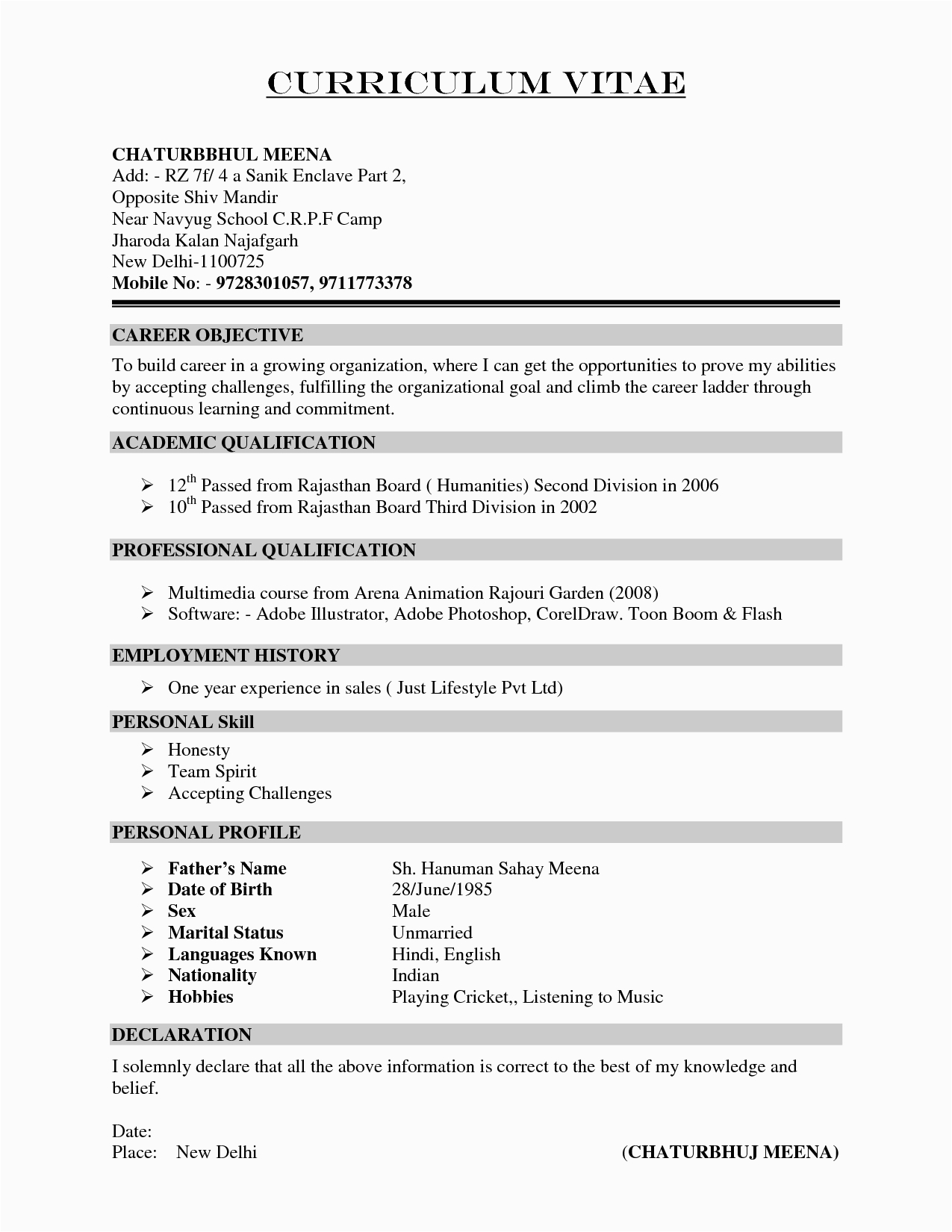 Sample Interests to Put On Resume Resume Examples Hobbies Resume Templates