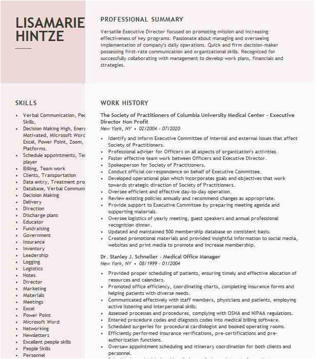 Sample Resume for Nonprofit Board Position Non Profit Board Member Resume Example Play & Learn