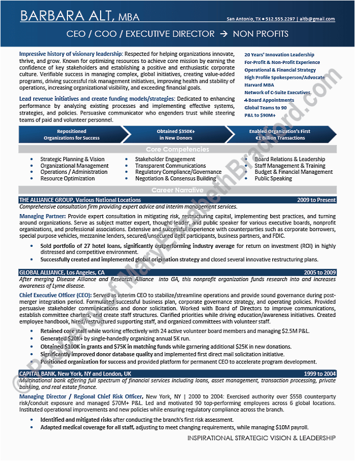 Sample Resume for Nonprofit Executive Director Executive Resume Sample