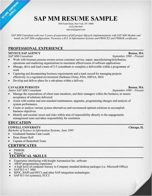 Sample Resume for Sap Mm Functional Consultant Sap Mm Consultant Resume Resume Panion
