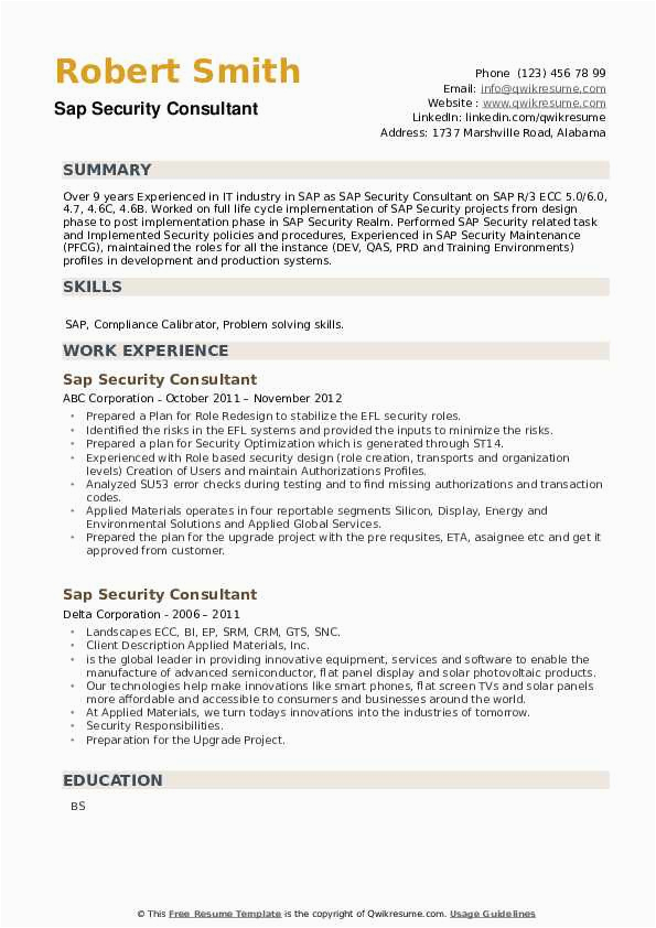 Sample Resume for Sap Security Consultant Sap Security Consultant Resume Samples