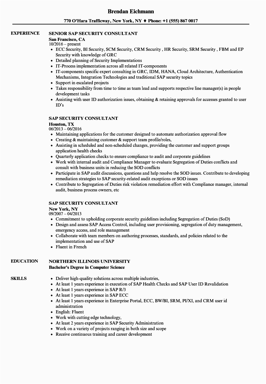 Sample Resume for Sap Security Consultant Sap Security Consultant Resume Samples