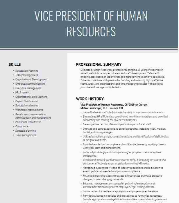 Vice President Of Human Resources Resume Sample Vice President Human Resources Resume Example Pany