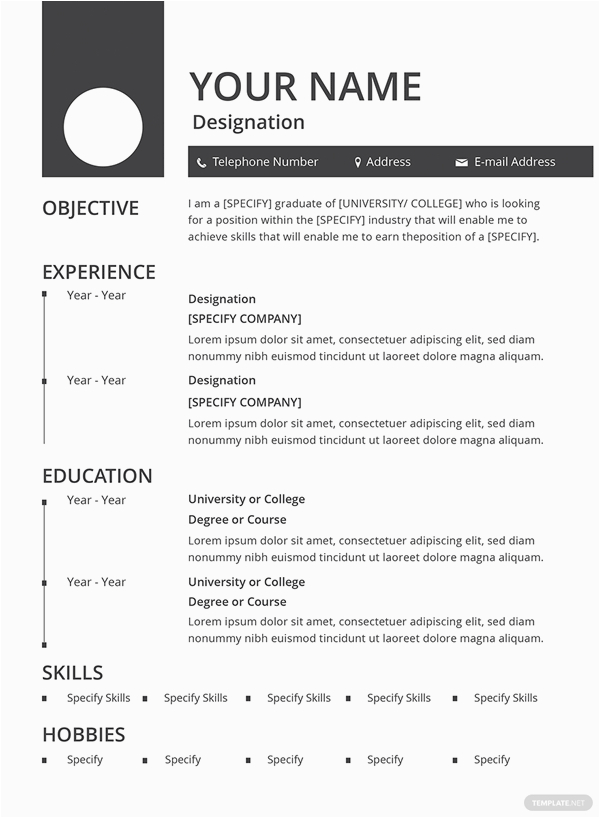Free Resume Template with Picture Option 10 Free Cv Templates In Word Document