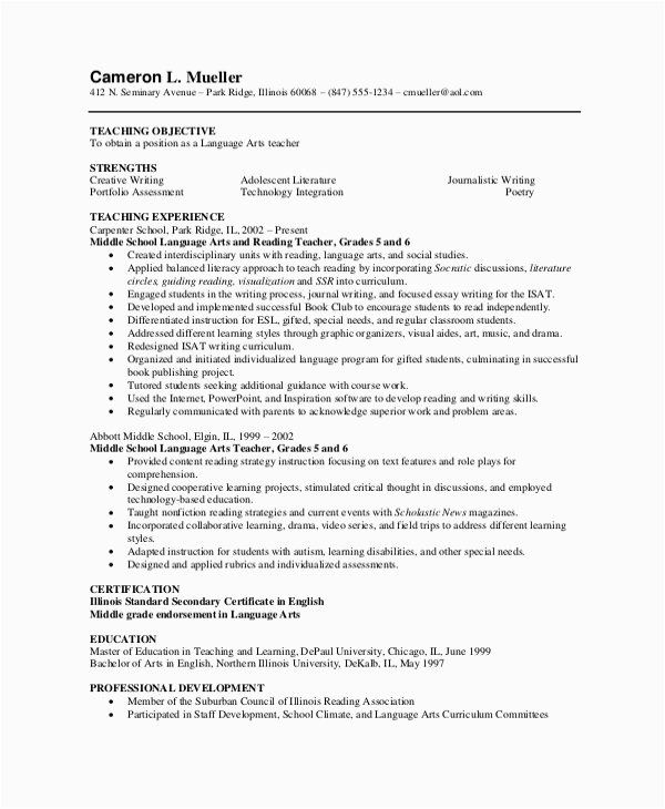 Free Resume Templates for Experienced Professionals Free 7 Sample Professional Resume Templates In Pdf