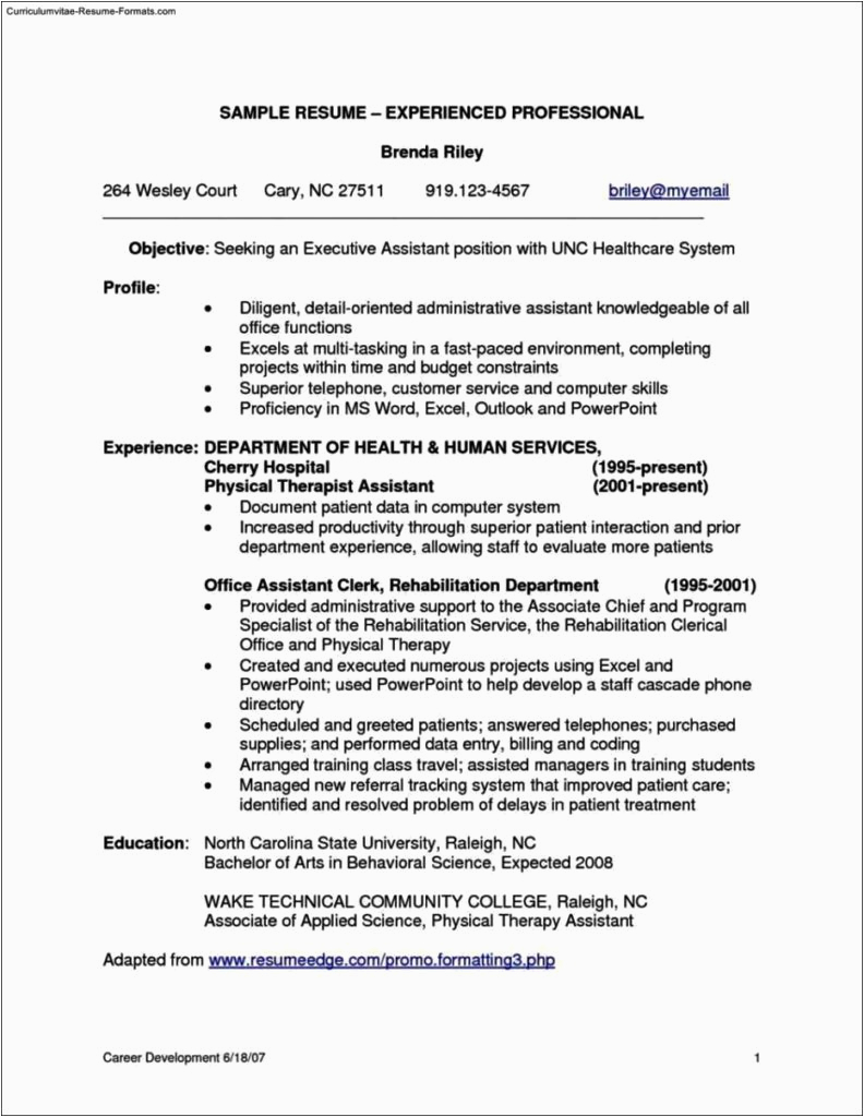 Free Resume Templates for Experienced Professionals Resume Templates for Experienced Professionals