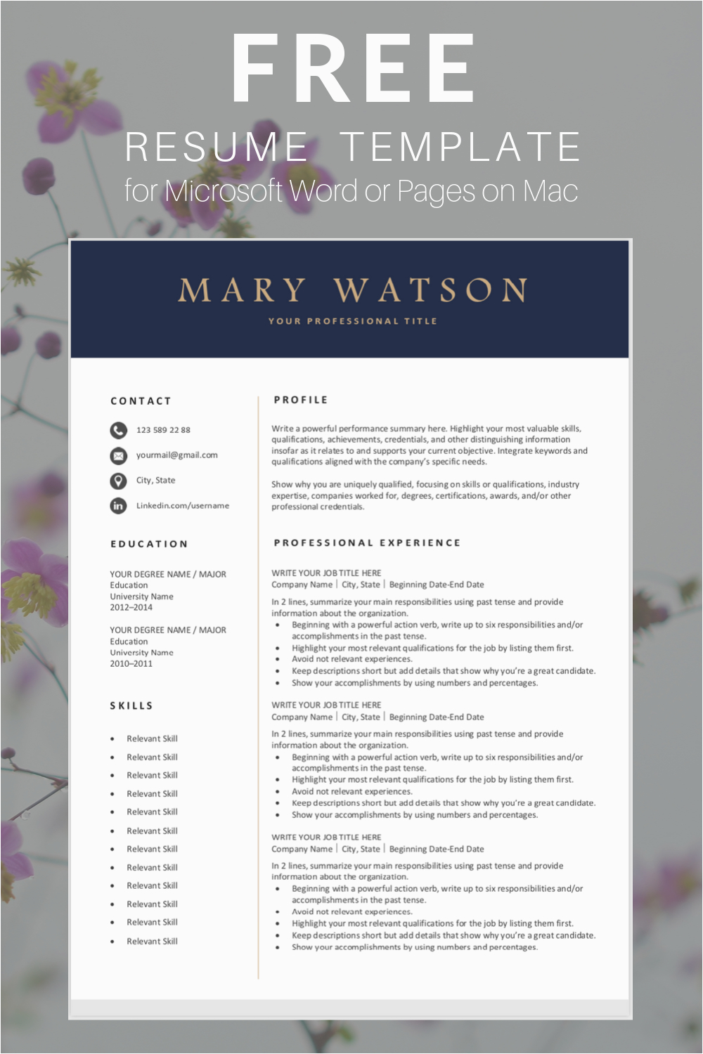 Free Resume Templates that Can Be Downloaded Professional Resume Template Download for Free with