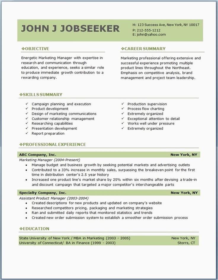 It Professional Resume Template Free Download Free Professional Resume Templates Download