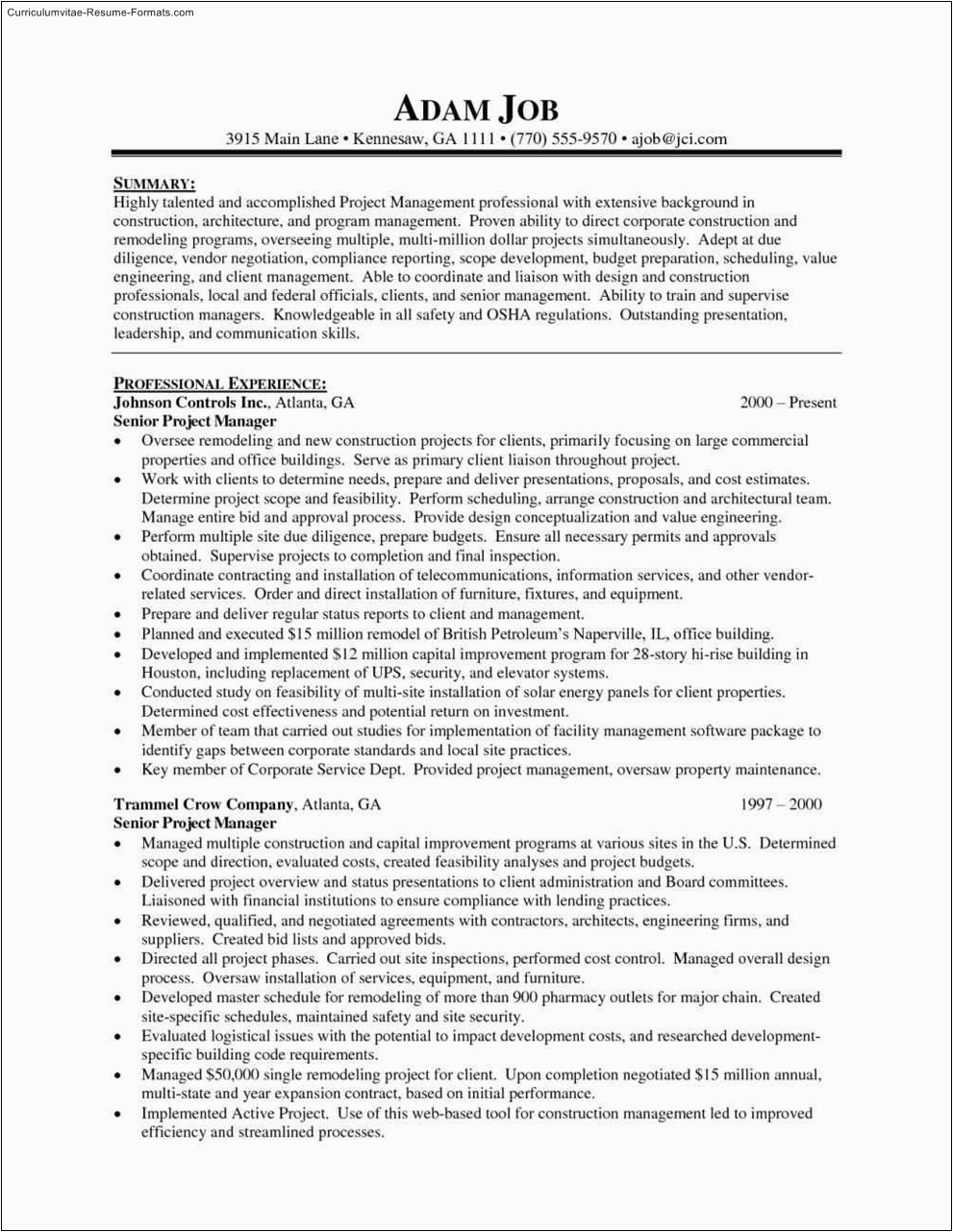It Project Manager Resume Template Free It Project Manager Resume Template