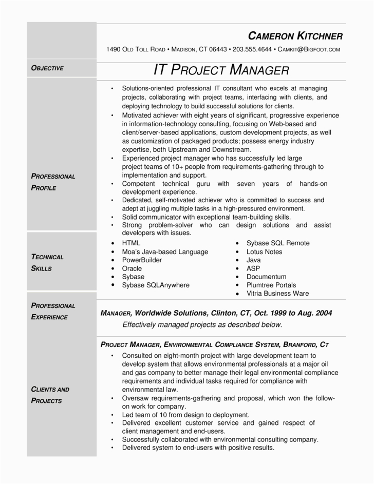 It Project Manager Resume Template Free Modern It Project Manager Resume Template