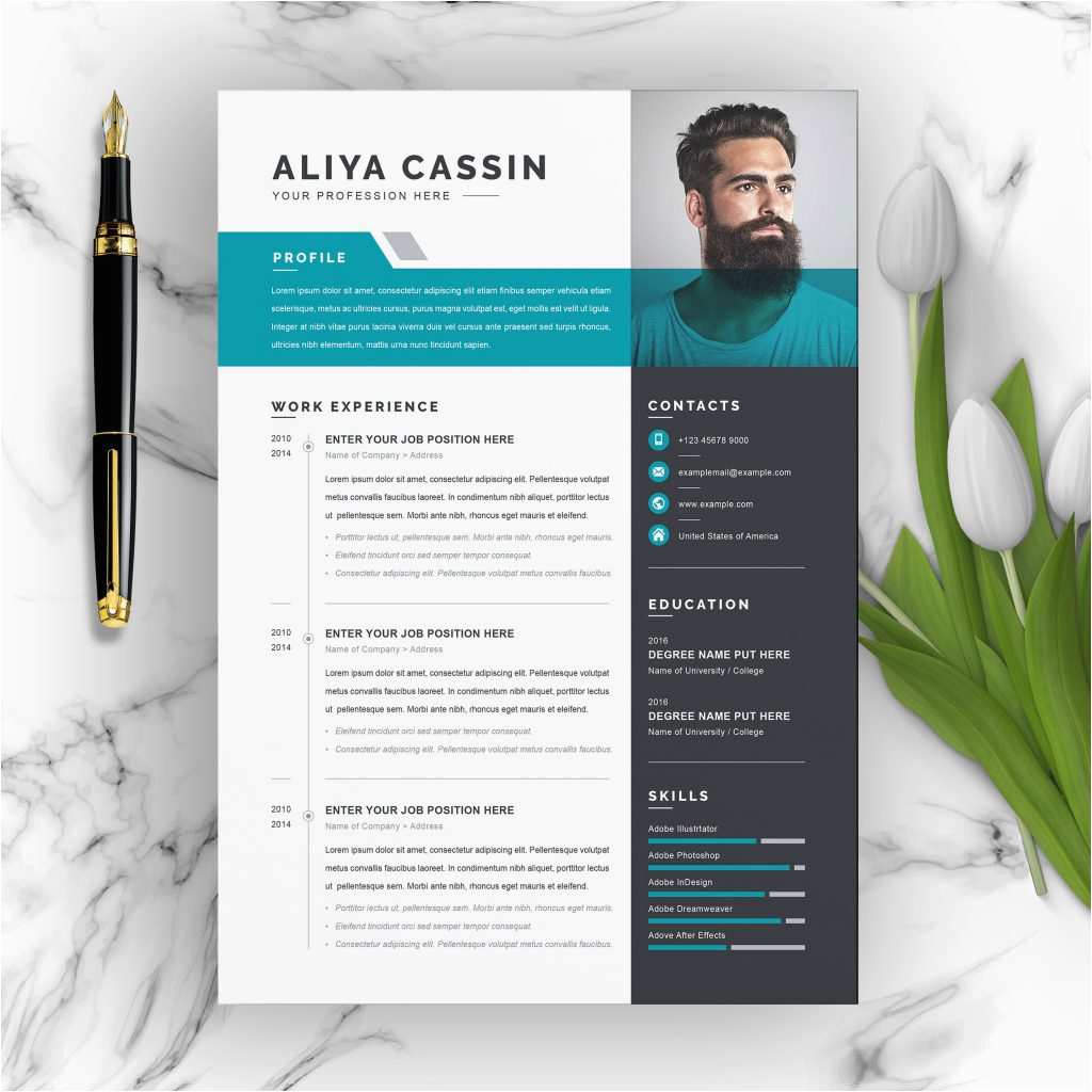 Modern Professional Resume Template Free Download Free Resume Templates with Multiple File formats