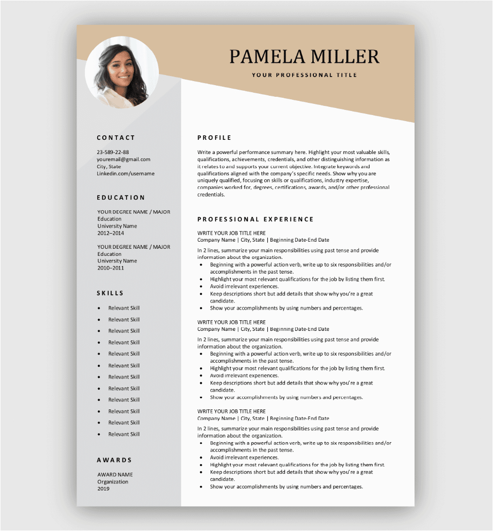 Modern Professional Resume Template Free Download Modern Resume Template Free Download
