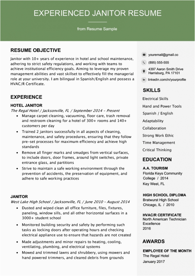 Resume Objective Samples for Experienced Professionals Professional Experience Resume Example