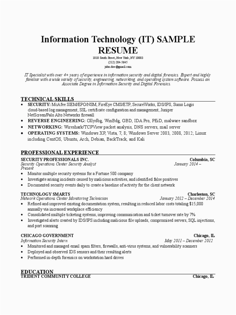 Resume Template for A Lot Of Information Information Technology It Resume Sample 1