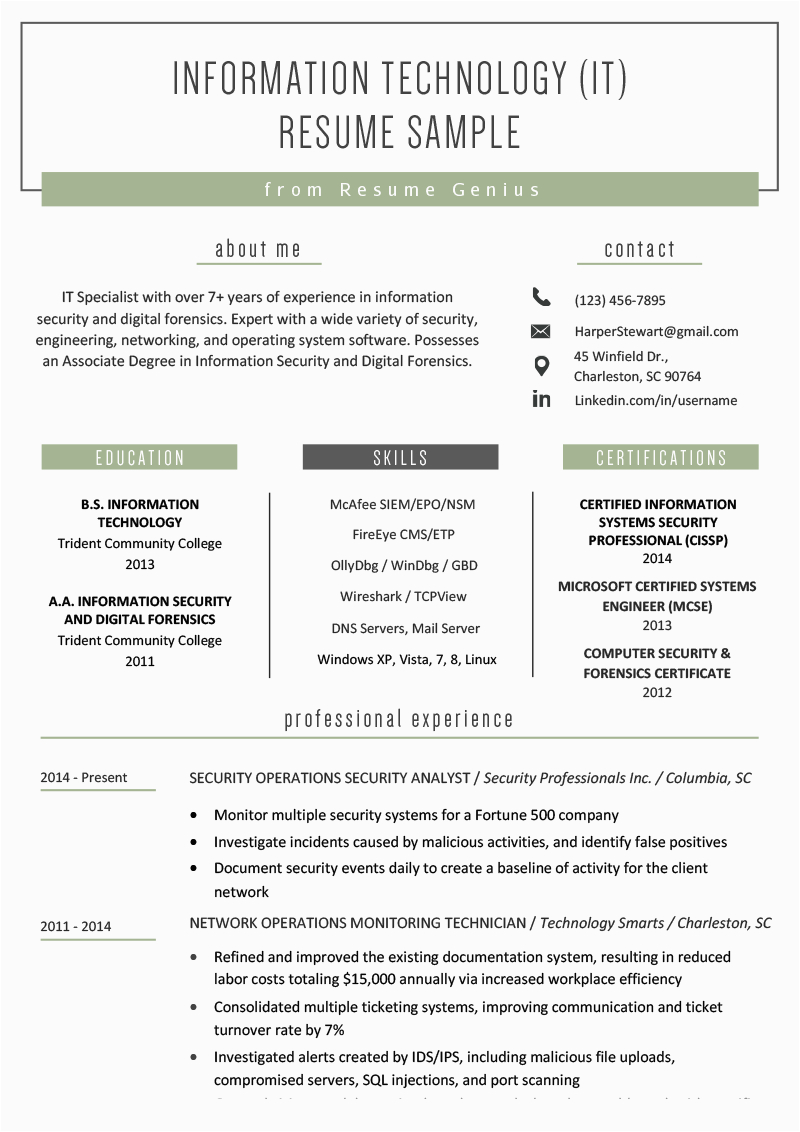 Resume Template for A Lot Of Information Student Resume Information Technology Huroncountychamber
