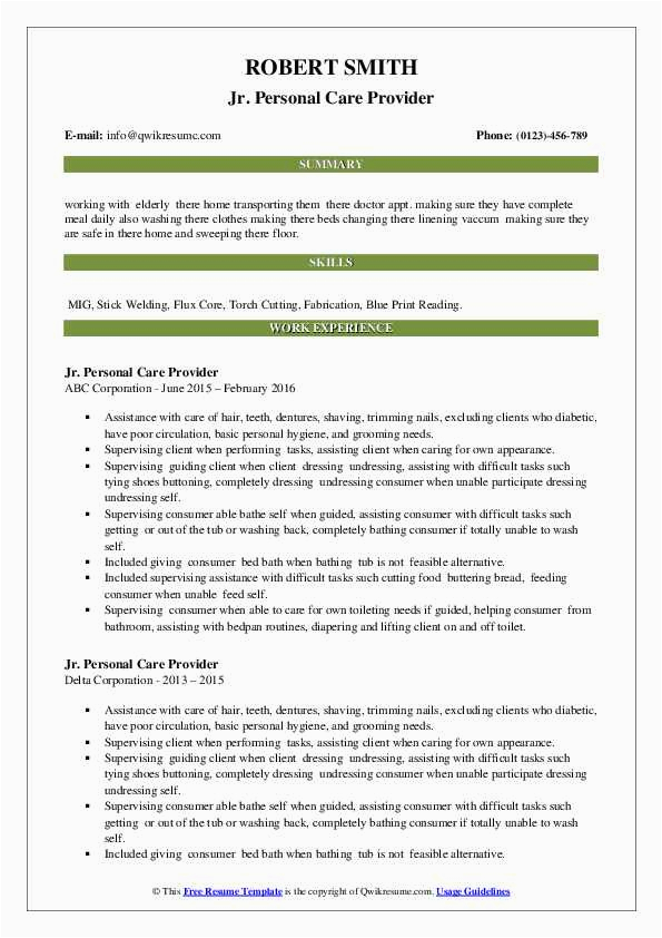 Sample Resume for Personal Care Provider Personal Care Provider Resume Samples