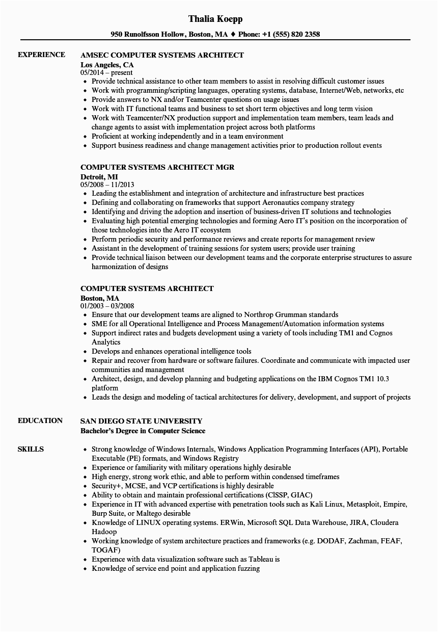 Computer Systems Engineers Architects Resume Sample Puter Systems Architect Resume Samples