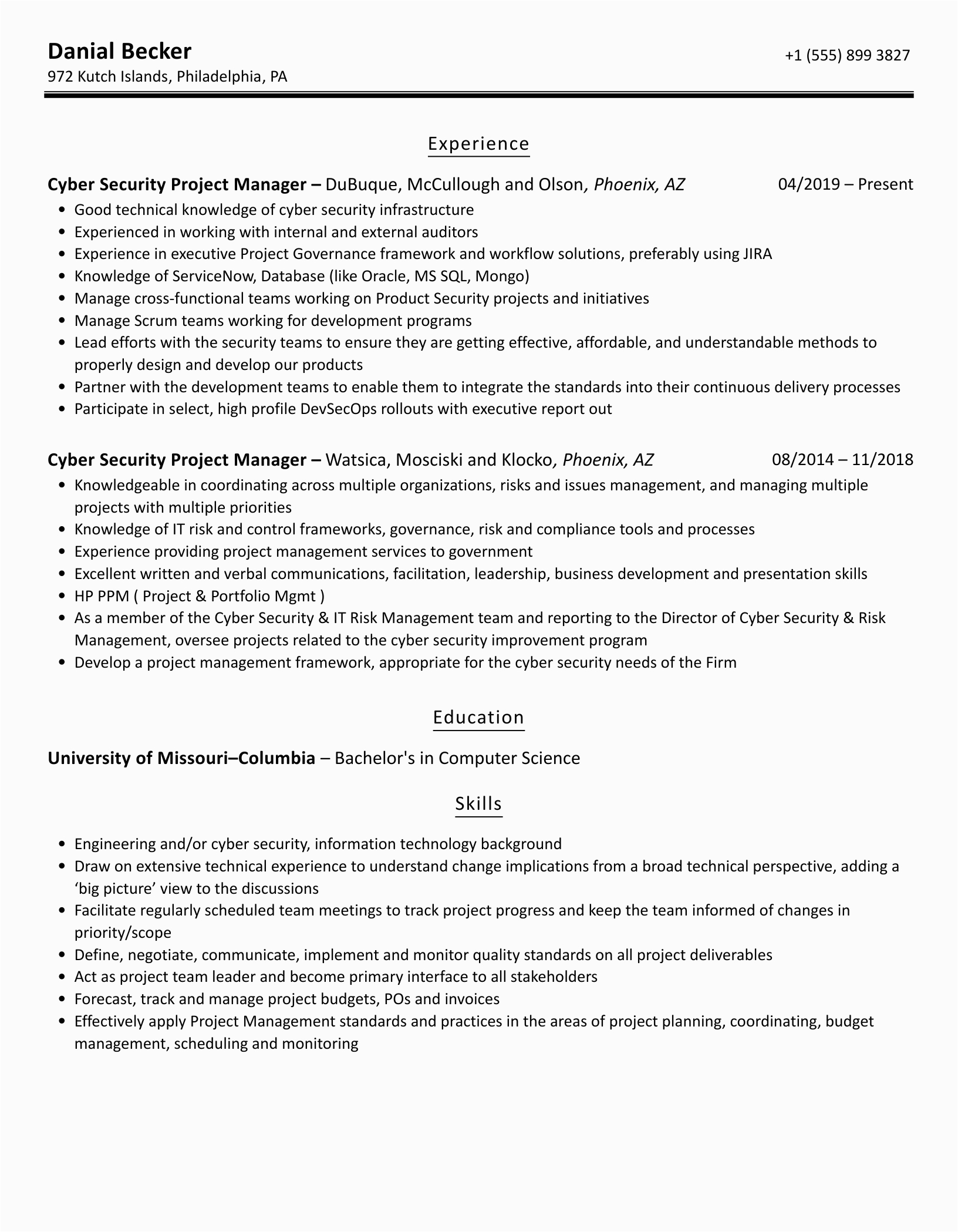 Cyber Security Project Manager Sample Resume Cyber Security Project Manager Resume Samples
