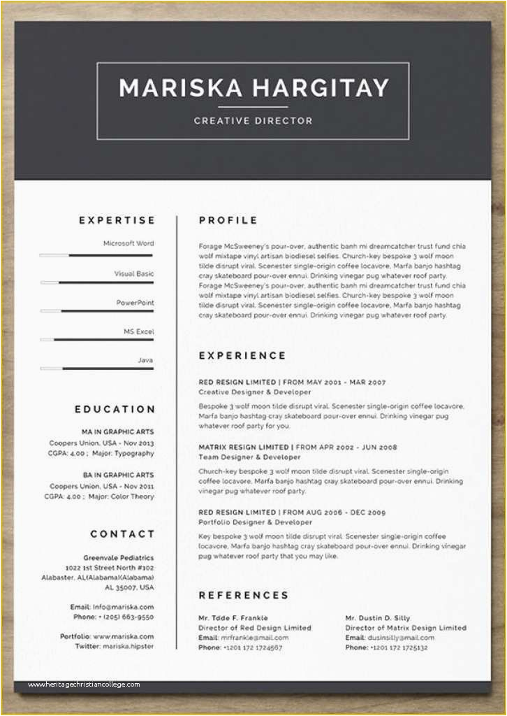 Eye Catching Resume Templates Free Download Eye Catching Resume Templates Free 24 Free Resume