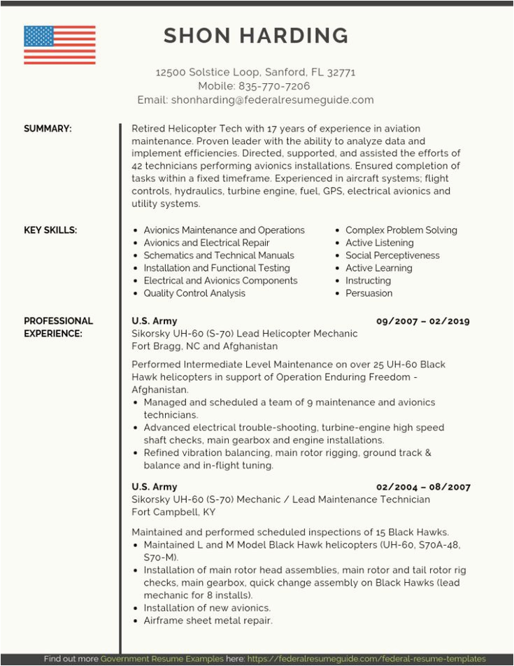 Free Resume Templates for Government Jobs Federal Resume Template In 2020
