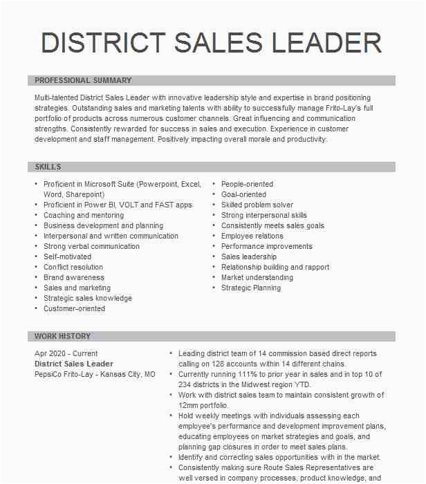 Haslam College Of Business Resume Template District Sales Leader Resume Example Pepsico Fritolay