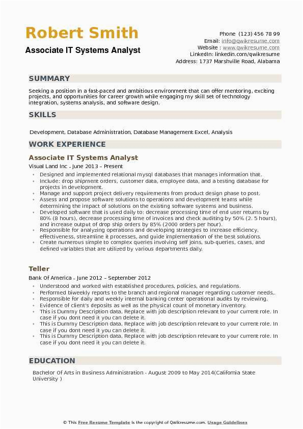 Management Systems Analyst Resume Sample Example It Systems Analyst Resume Samples