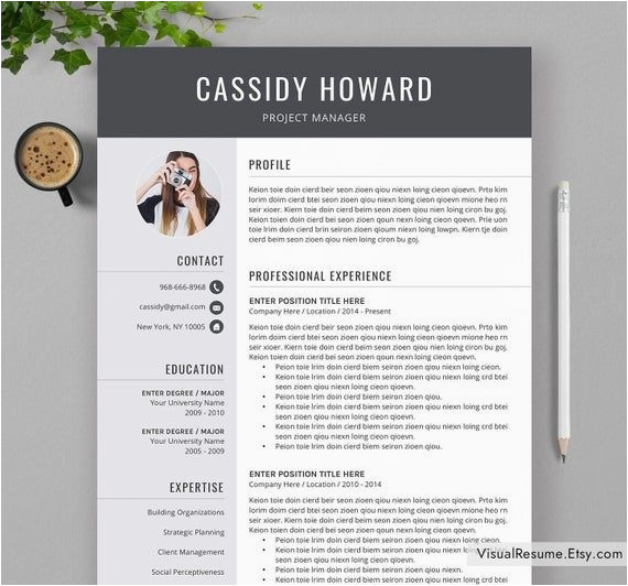 Professional Resume Templates 2022 Free Download 2020 Professional Resume Template for Ms Word Cv Template