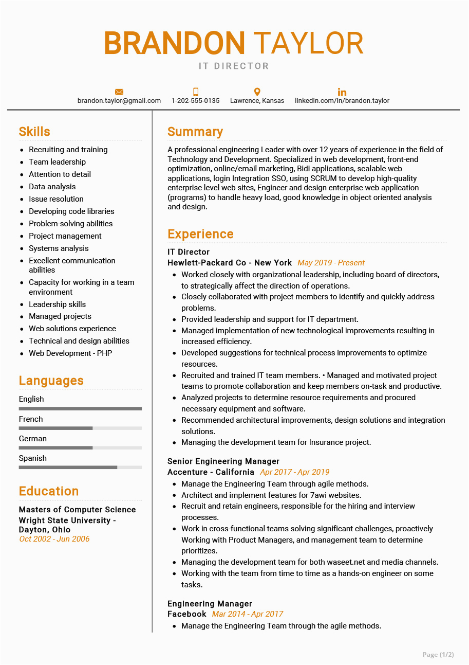 Resume Summary Samples for It Professionals It Director Resume Example 2022