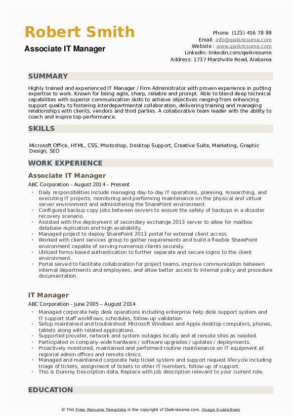 Resume Summary Samples for It Professionals It Manager Resume